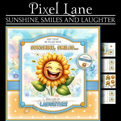 Sunshine, Smiles And Laughter