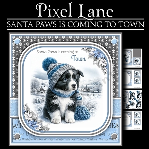 Santa Paws Is Coming To Town (Male Border Collie)