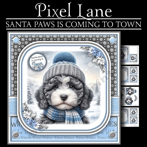 Santa Paws Is Coming To Town (Male Cockapoo))