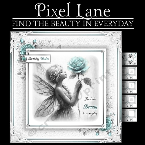 Find The Beauty In Everyday