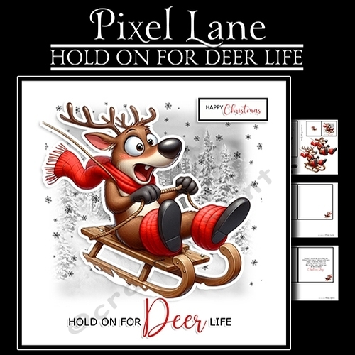 Hold On For Deer Life!