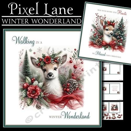 Winter Wonderland