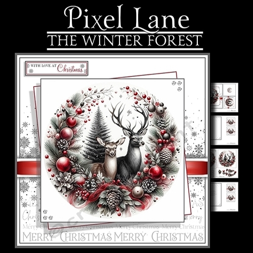 The Winter Forest