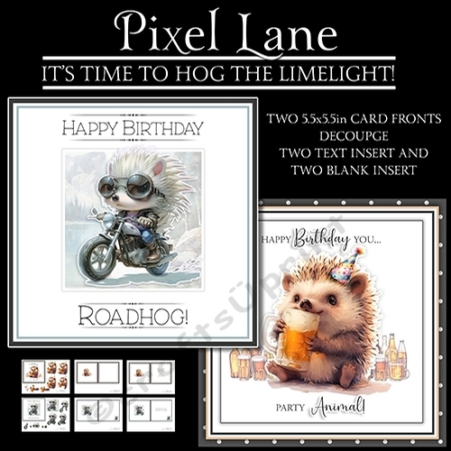 Its Time To Hog The Limelight!