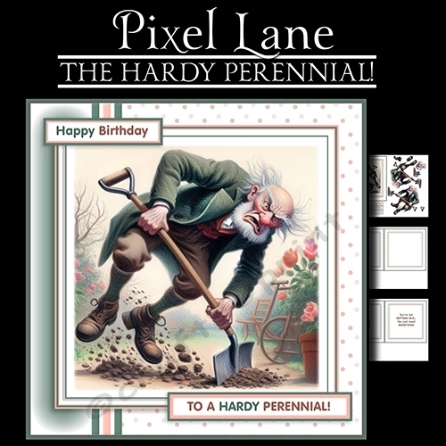 The Hardy Perennial 
