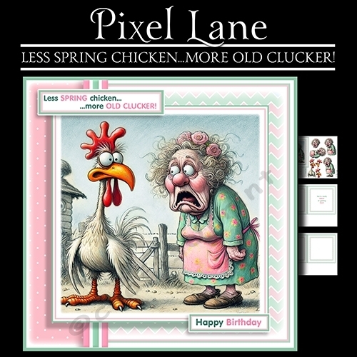 Less Spring Chicken...More Old Clucker! (Female)