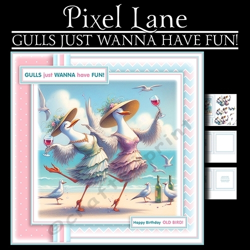 Gulls Just Wanna Have Fun!