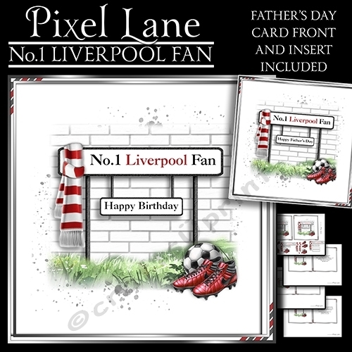 No.1 Liverpool Fan