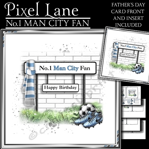 No.1 Man City Fan