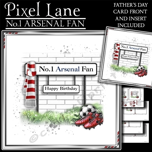 No.1 Arsenal Fan