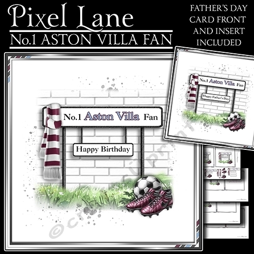 No.1 Aston Villa Fan