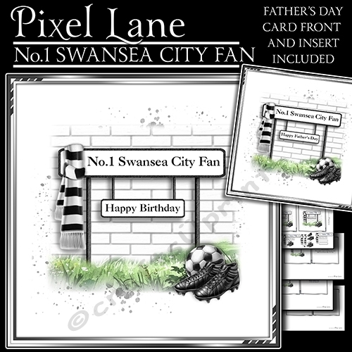 No.1 Swansea City Fan