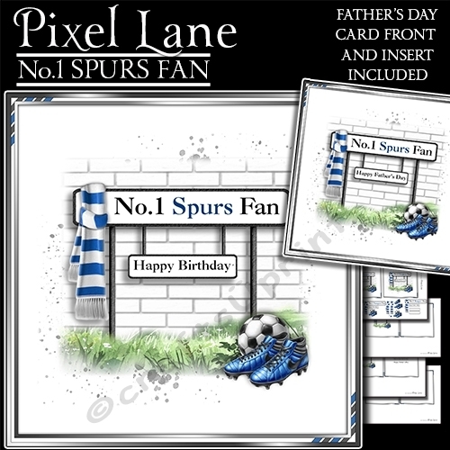 No.1 Spurs Fan