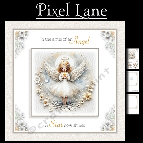 cup1384843_1443 - In The Arms On An Angel