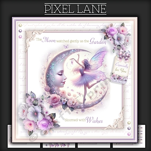 Fairy And Moonlight Wishes