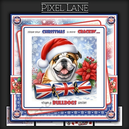 Have A Cracker Of A Christmas!