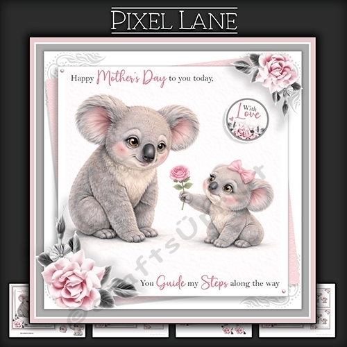 You Guide My Steps Along The Way (Koala)