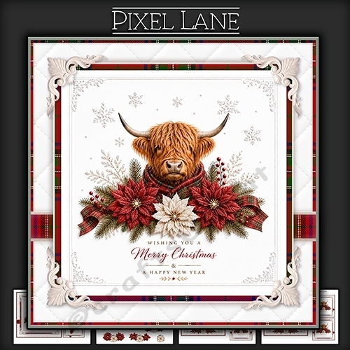 Winter Wonderland (Highland Cow)