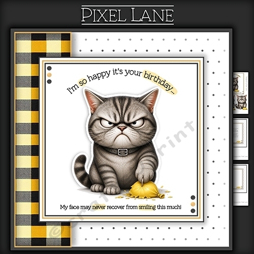 cup1446023_1443 - Im So Happy Its Your Birthday! (Cat)