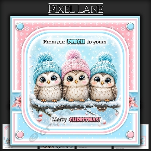 From our Perch To Yours