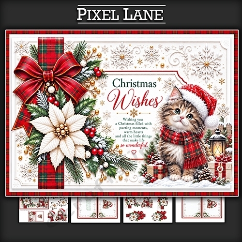 A Little Cat brings Christmas Cheer