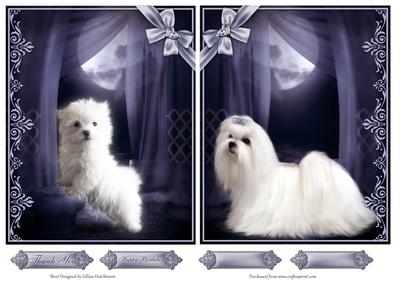 Moonlit Puppies