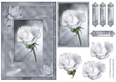 Sympathy Rose