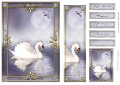The Lone Swan