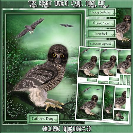 The Night Watch Owl Mini Kit