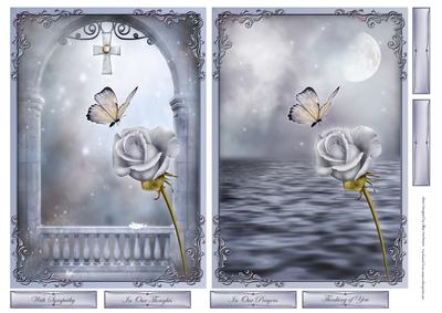 Sympathy Rose