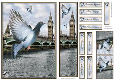 The London Pigeons