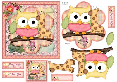 Little Owl