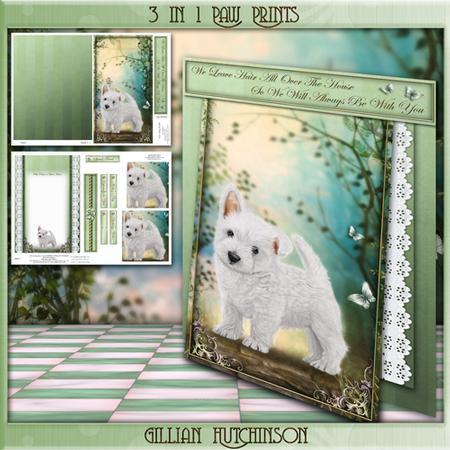 3 in 1 Paw Prints