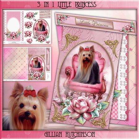 3 in 1 Little Princess