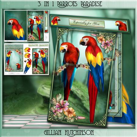 3 in 1 Parrots Paradise