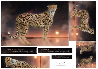 Cheetah Dreams
