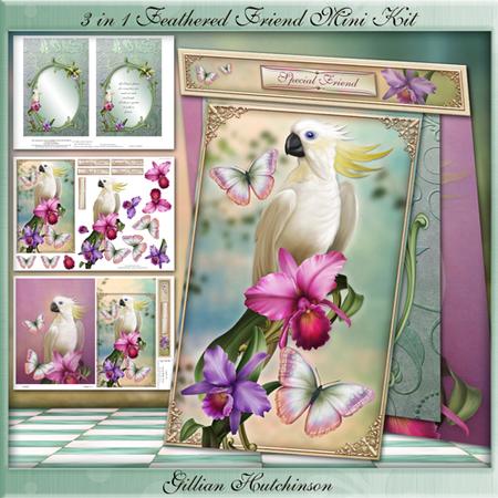 3 in 1 Feathered Friend