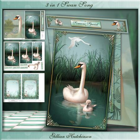 3 in 1 Swan Song