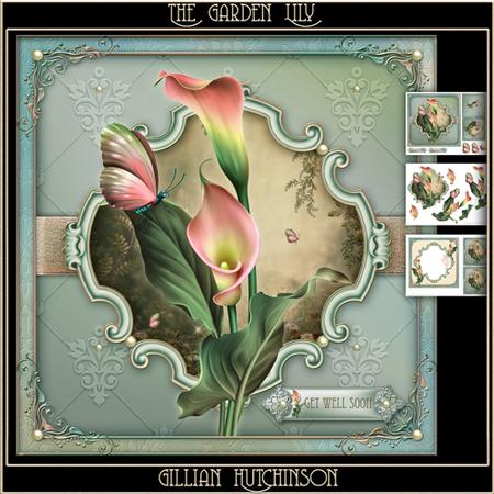 The Garden Lily