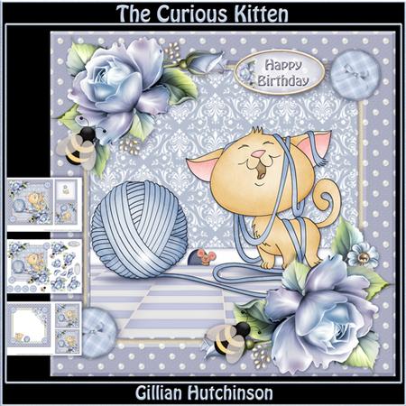 The Curious Kitten