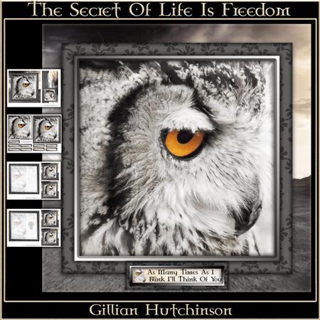 The Secret of Life is Freedom