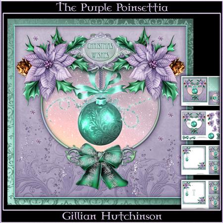 The Purple Poinsettia