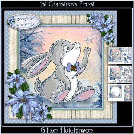 1st Christmas Frost