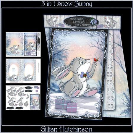 3 in 1 Snow Bunny