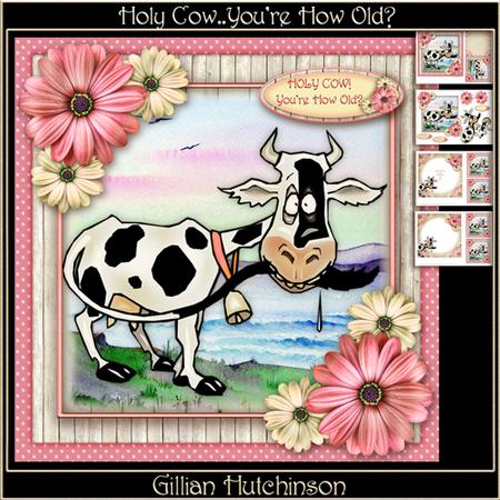 Holy Cow - you're How Old?