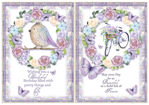 2 Birthday Bird & Bike Card Fronts
