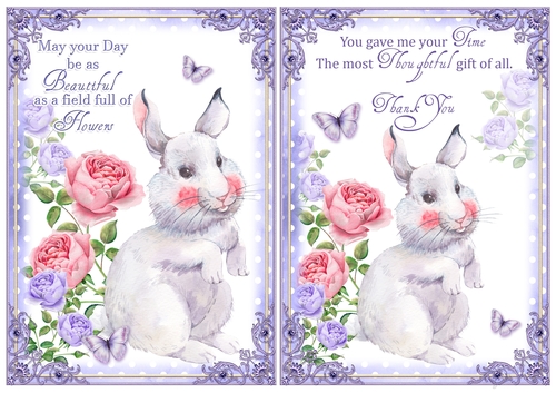 2 Rabbit Thank You/Birthday Card Fronts