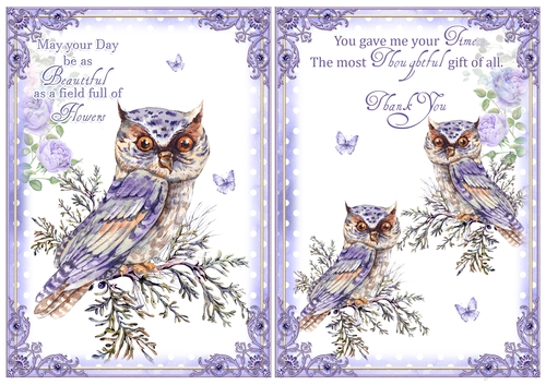 2 Owl Thank You/Birthday Card Fronts