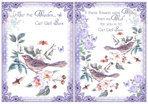 2 Little Bird Get Well  Card Fronts