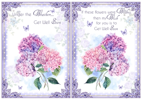 2 Get Well Floral Card Fronts